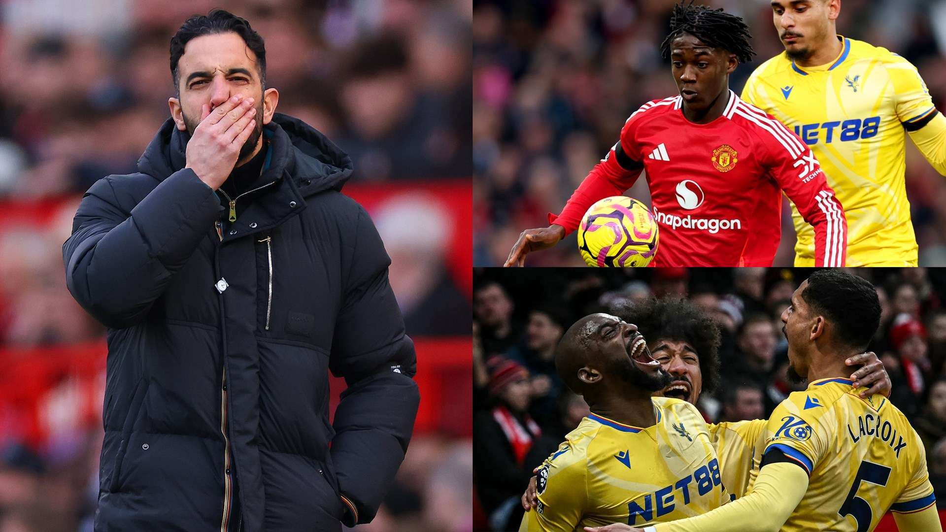 不仅限于体 不仅限于体