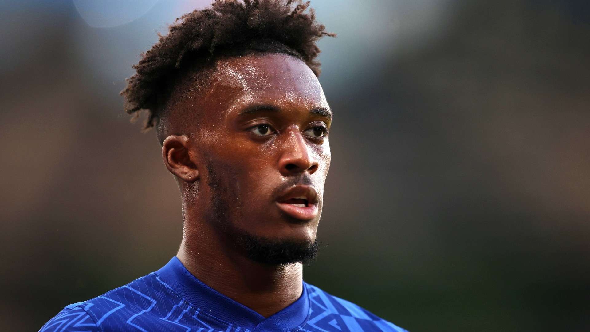 教申花的一 教申花的一