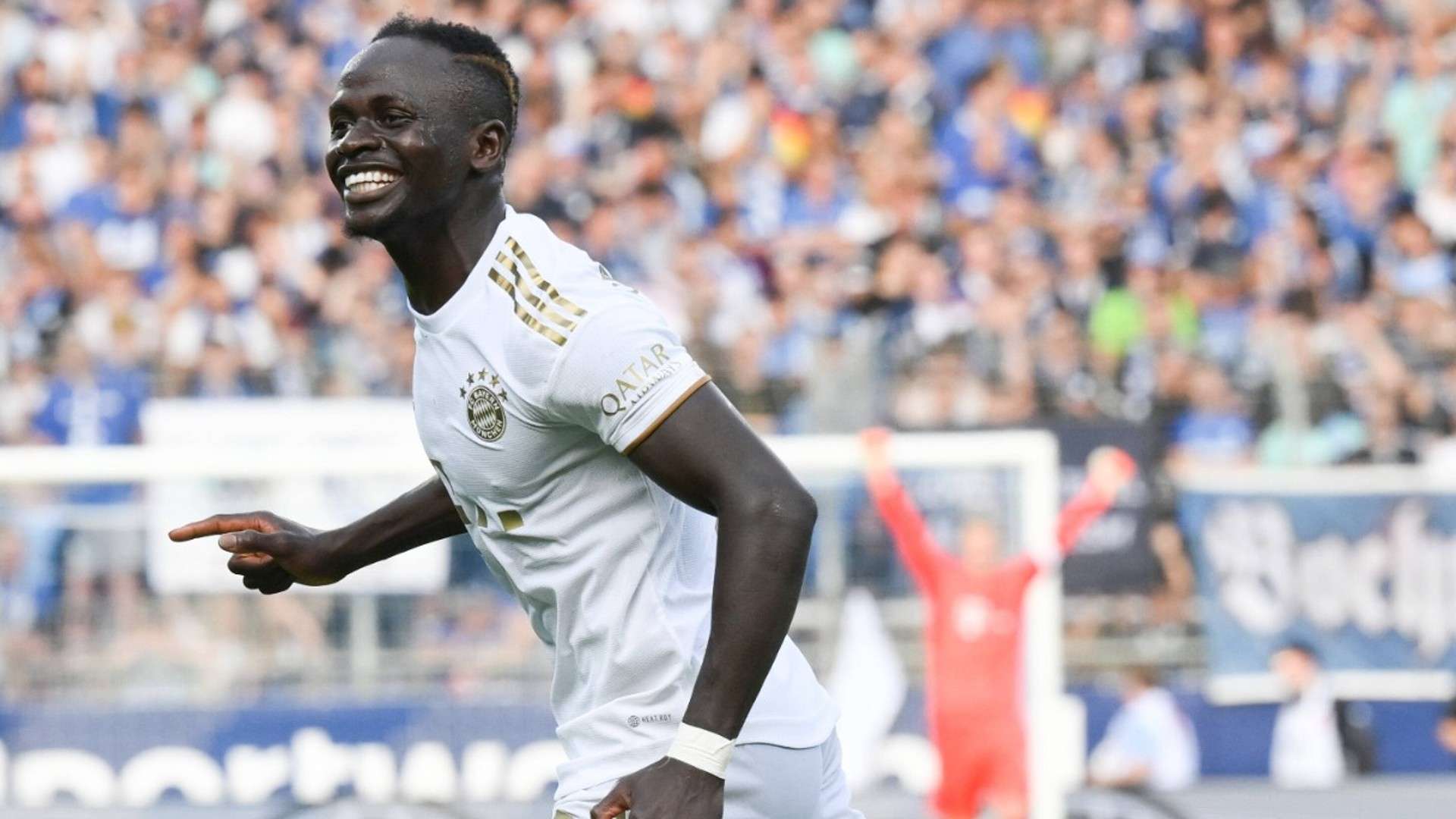 期待和观注 期待和观注