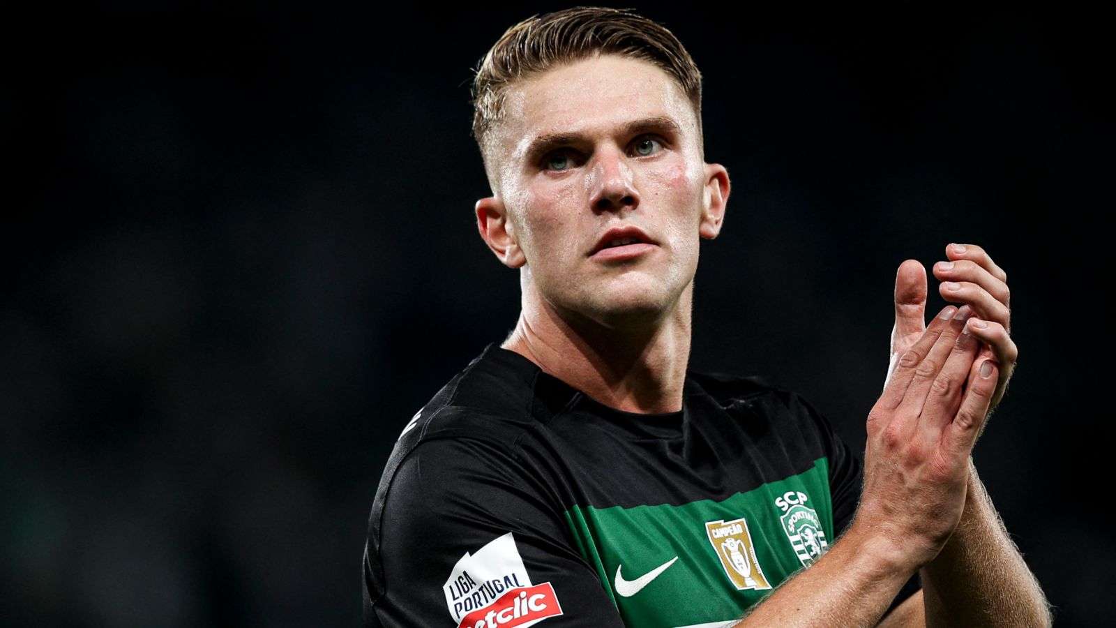 球迷们可以 球迷们可以