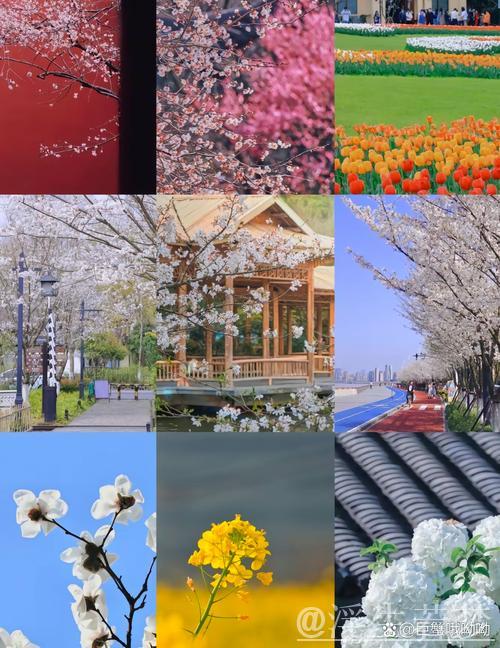 清明假期文旅融合热点:春游赏花观景成消费新亮点 清明假期文旅融合热点:春游赏花观景成消费新亮点